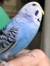 47D15151-088C-4F3C-989D-7F9CE7962D98.jpeg