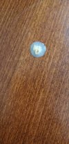IMG-20201208-WA0000.jpg