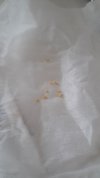 20201223_122937.jpg