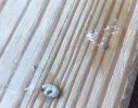 DE6C7088-0A4E-4AE6-91BD-532581ABC703.jpeg