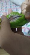 1608755650379.jpg