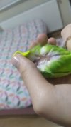 1608755650394.jpg
