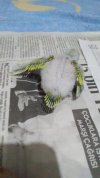 VID_20201223_205856_exported_0_1608747098238.jpg