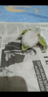 Screenshot_20201223-211211.png
