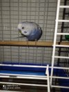 IMG-20201222-WA0002.jpg