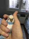 IMG_3662.JPEG