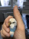 IMG_3664.JPEG