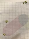IMG_3672.JPEG