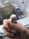 IMG_3656.JPEG