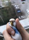 IMG_3657.JPEG