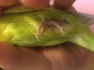 1AD021C7-2401-4B8C-A115-2CFB81432EDB.jpeg