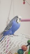 20201223_193546.jpg