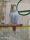 IMG-20201212-WA0003.jpg