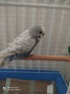 IMG-20201222-WA0001.jpg
