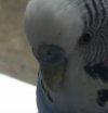 663311CE-6ABB-4BAF-A185-47423751AA01.jpeg