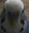 6E67D9E4-038D-4B18-8BEB-2FAC2BCF4D3C.jpeg