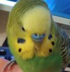 IMG_20210105_185856~2.jpg