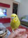 IMG_20210106_094540.jpg
