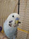 IMG-20210112-WA0016.jpg