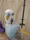 IMG-20210112-WA0015.jpg