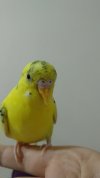IMG_20210116_230054.jpg