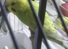 E7E30081-22BA-4E8D-9E4A-27512E693EB8.jpeg