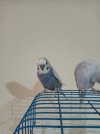 IMG-20210114-WA0005.jpg