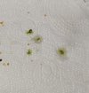 IMG-20210118-WA0016.jpg