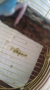IMG-20210122-WA0012.jpg
