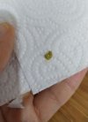 IMG-20210123-WA0006.jpg