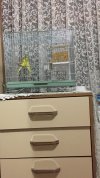 e0a7f533-02ba-42eb-9481-a0f1aa0f52e1.jpg