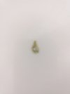 IMG-20210127-WA0001.jpg
