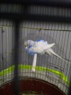 IMG_20210201_015018-min.jpg
