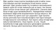 46338DBB-04EA-47B3-BAEB-8FB2CE7CDCA5.jpeg