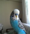 IMG_20210207_075031.jpg