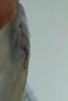 unknown.png