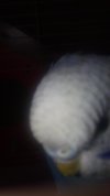 1613037448204744452801.jpg