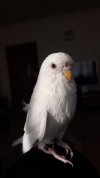 20201110_160249.jpg