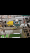 FC3D7578-0220-4123-BD69-4BBB9C4BE373.png