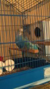 IMG-20210209-WA0005.jpeg