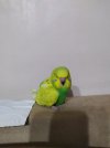 IMG_20210217_180431.jpg