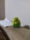 IMG_20210217_180426.jpg