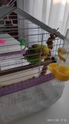 IMG_20210120_171036.jpg