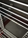 IMG_2359.JPEG