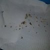 20210302_103755.jpg