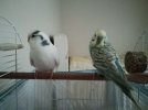 IMG_20210207_1753241.jpg