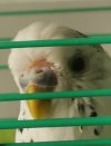 IMG_20210306_142107.jpg