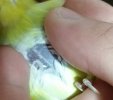 IMG_20210306_205114.jpg