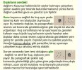 20210307_154509.jpg
