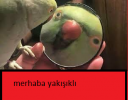 Adsız.png